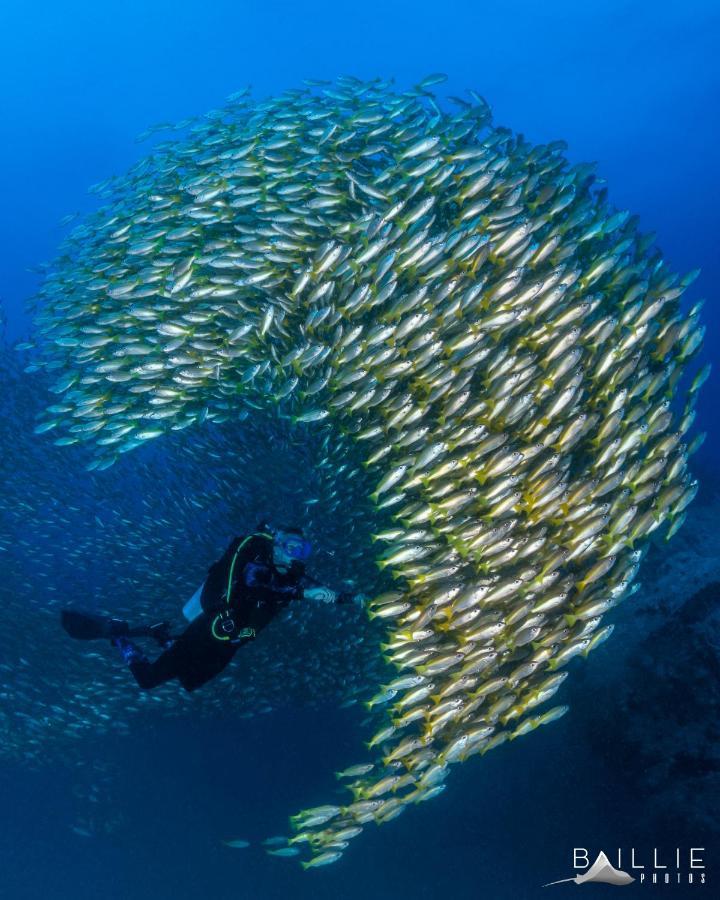 Hydronauts Diving Resort - เกาะเต่า ภายนอก รูปภาพ